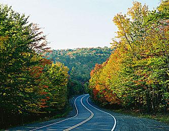 已经有人玩上了？Xbox宣传图出现《空洞骑士：丝绸之歌》